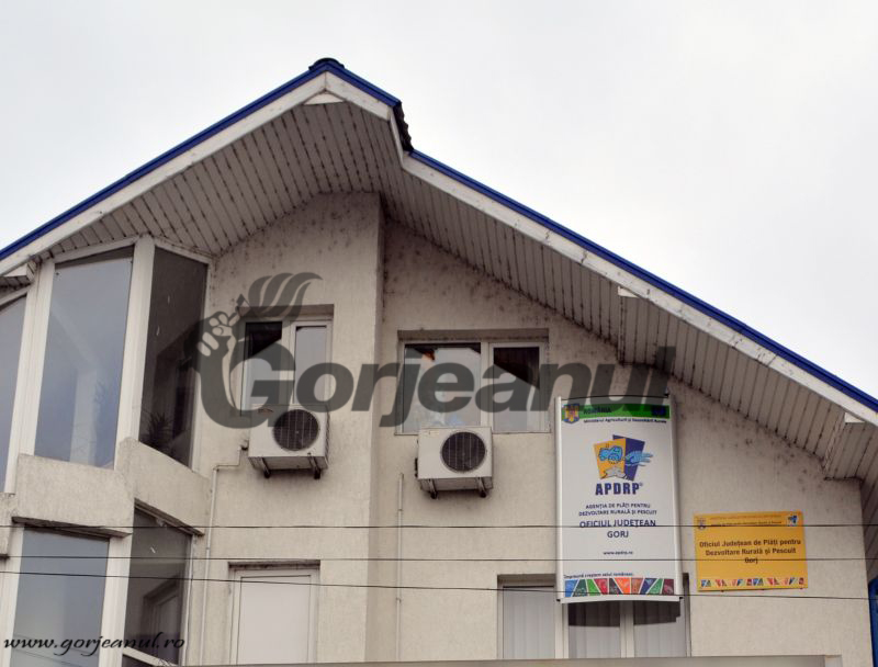 Pedepse mai mari pentru că au păcălit Oficiul Județean de Plăți pentru Dezvoltare Rurală și Pescuit