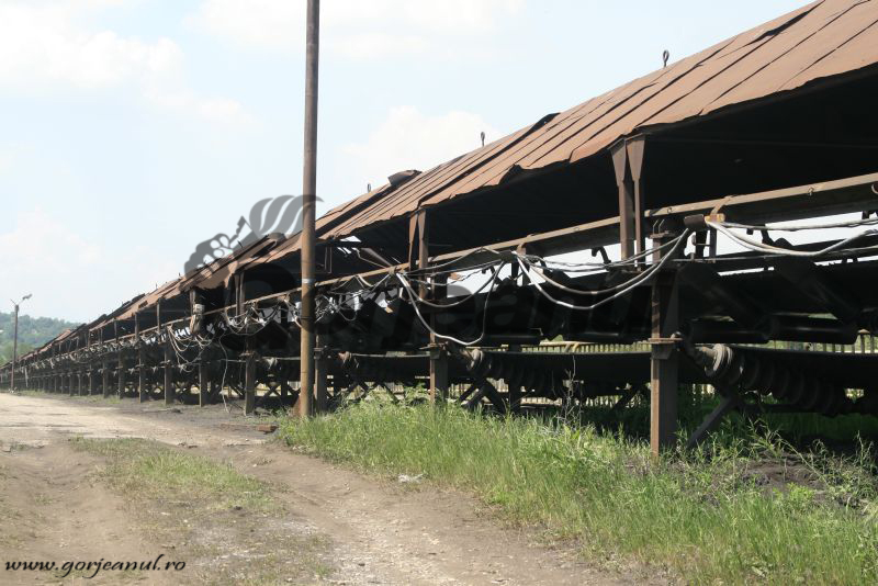 La condiții de muncă normale pentru un salariu minim: Angajată a Minprest, cu trei degete smulse de banda de cărbune de la Poiana