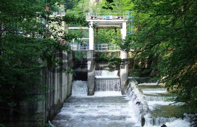 Controale la microhidrocentrale şi acţiuni de igienizare