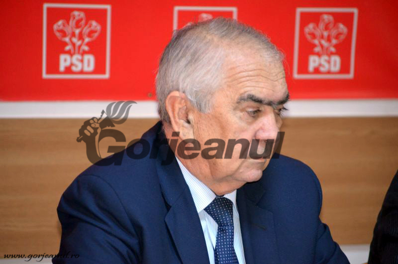 Candidatura lui Cârciumaru, validată de BPN-ul PSD