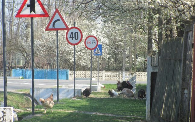 Recursul hoților de indicatoare a fost respins de Curtea de Apel Craiova