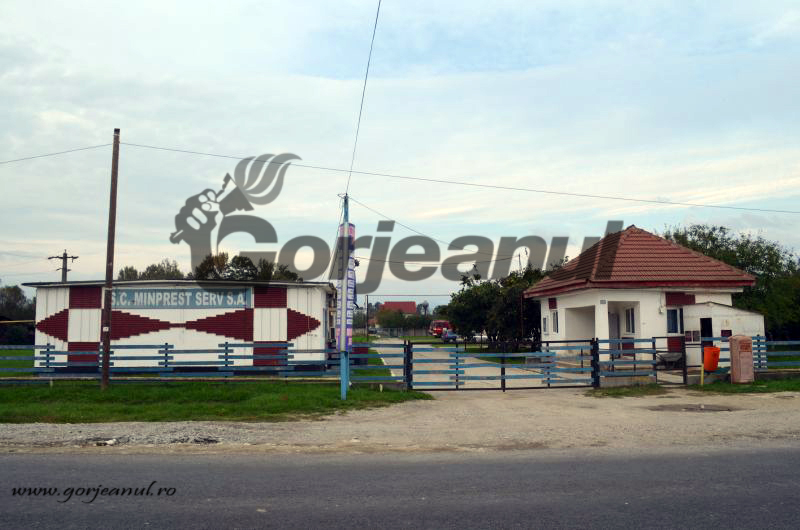 Recompense oneroase! Nepotul unuia dintre administratorii reținuți în Dosarul “Păsărin”, angajat în decembrie la Minprest