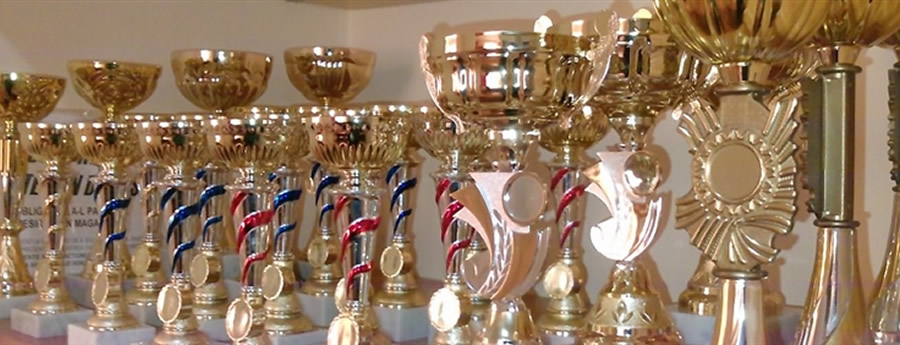 Cupa Mărțișorului