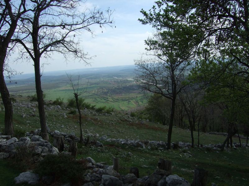 Un bulgăre de aur pentru Valea Jaleșului (II)