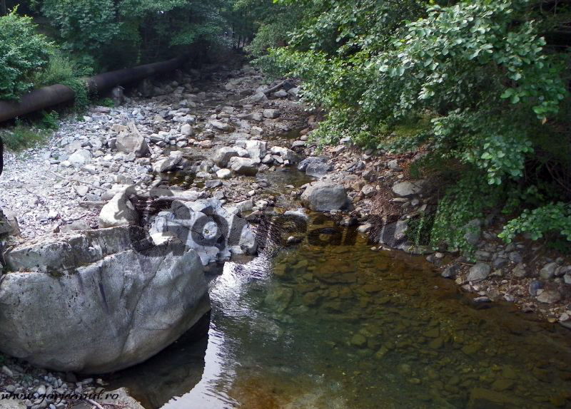 Multiple acţiuni de Ziua Mondială a Apei