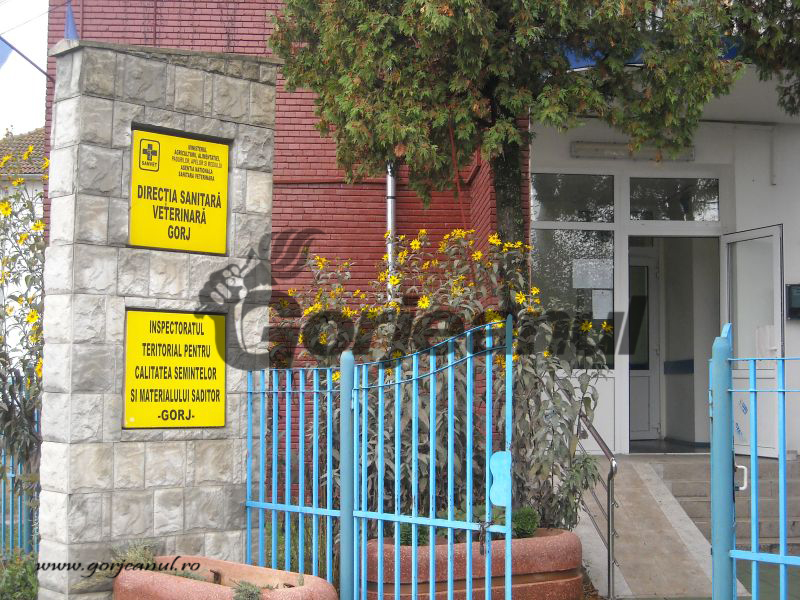 Personal nou la Direcţia Sanitar-Veterinară Gorj