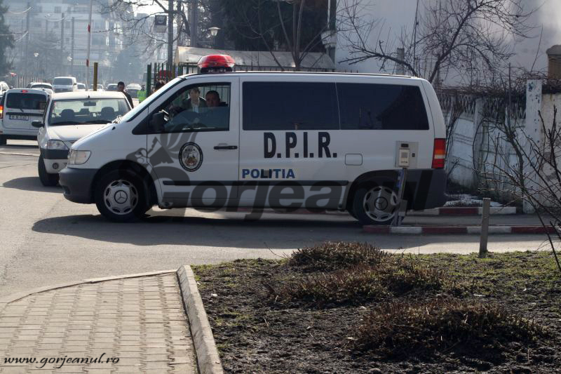 Descinderi la zeci de braconieri