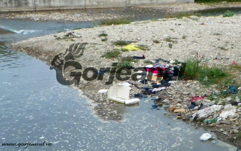 Salubrizarea din localităţi, în desfăşurare