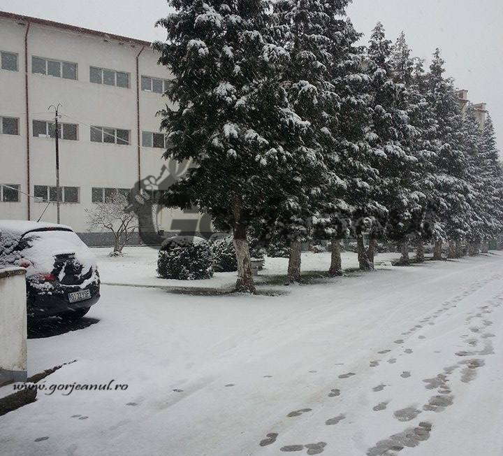 Ninsoare de primăvară, la Spitalul de Pneumoftiziologie