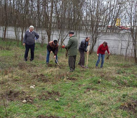 CJ Gorj a demarat „Luna plantării arborilor”