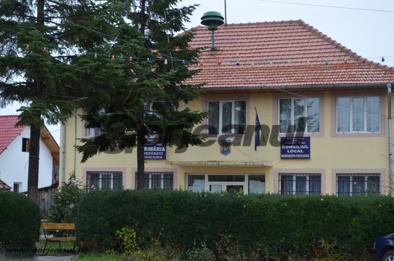 O uliță din Bengești-Ciocadia a băgat 630.000 euro în firma senatorului Toma de la Olt