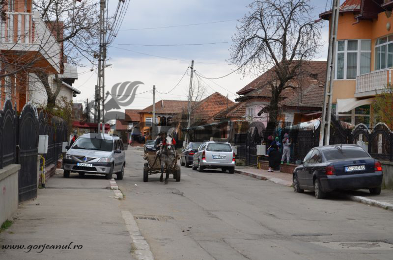 Campania “Caută de sănătatea ta”, demarată în opt localităţi din Gorj