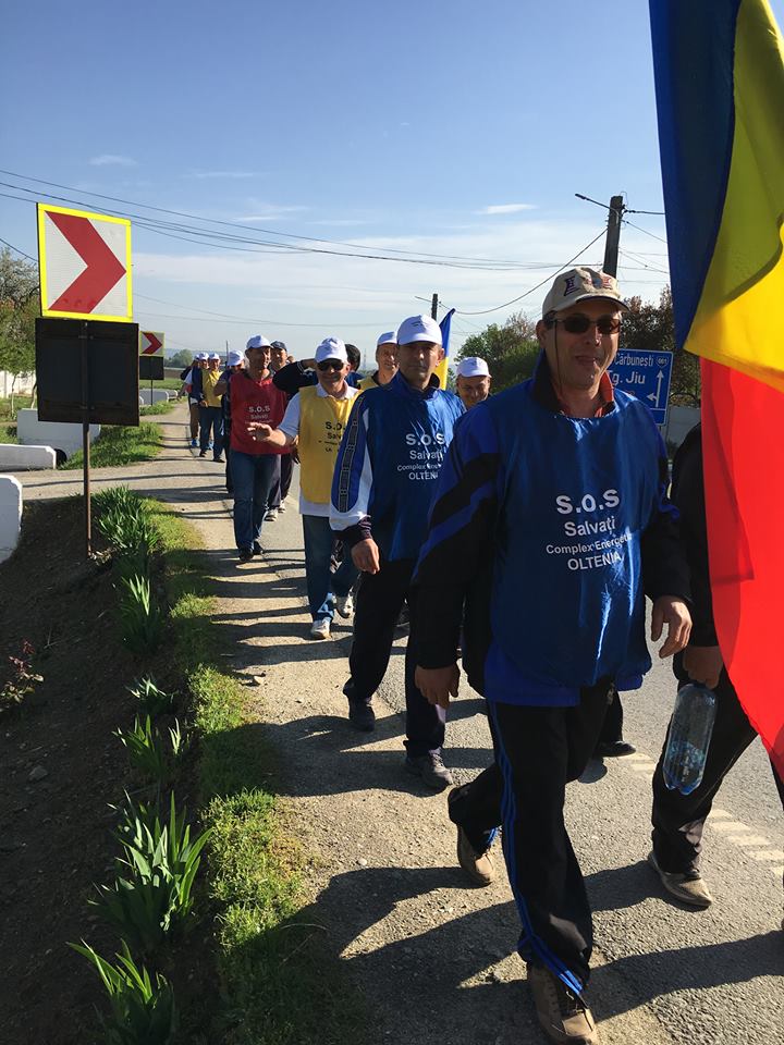 13006645_1213813741977253_2319808769230165688_n