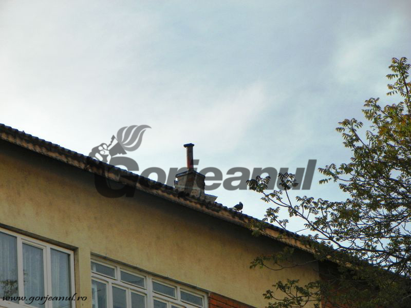 „Doamne fereşte” (Da’ mai bine ne ferim noi) – „Utilităţi” periculoase