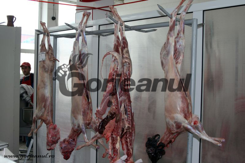 Miei autohtoni, în hala de carne din Piața Centrală!