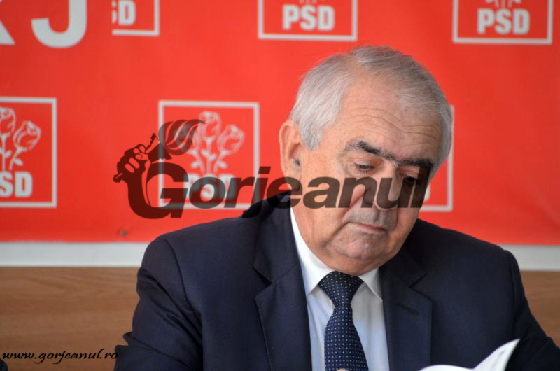 Cârciumaru şi-a anunţat candidatura