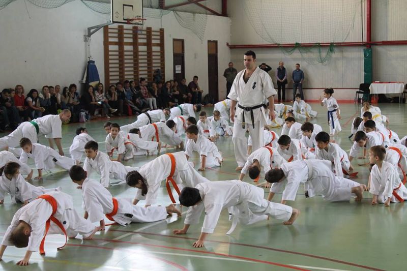 Seminarul Zonal de Karate Kyokushinkai, o “şcoală altfel”