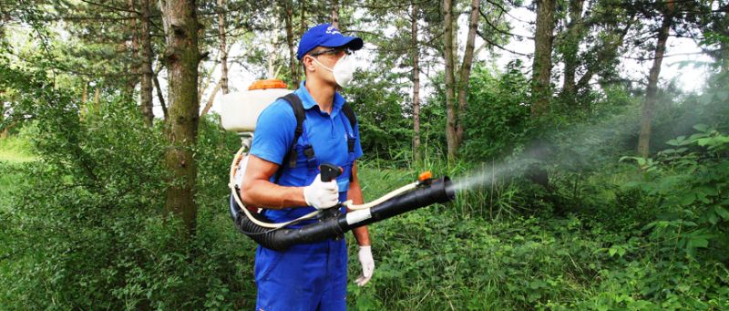 Oficiul Fitosanitar Gorj face angajări