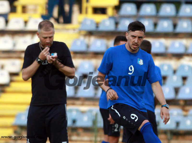 Prețul lui Hora, stabilit de piață