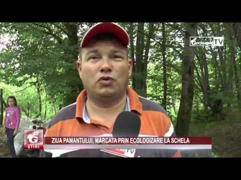 ZIUA PĂMÂNTULUI, MARCATĂ PRIN ECOLOGIZARE LA SCHELA