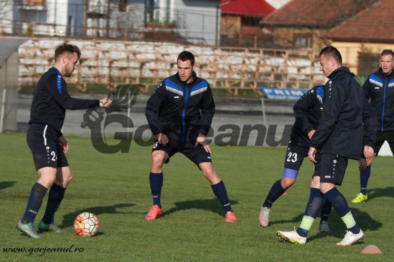 Pandurii lui Edi, vânați de alte echipe