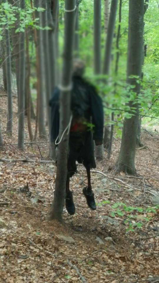 Descoperire șocantă într-o pădure din Runcu