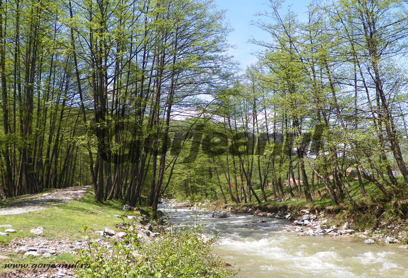 Continuă lucrările de deviere a râurilor