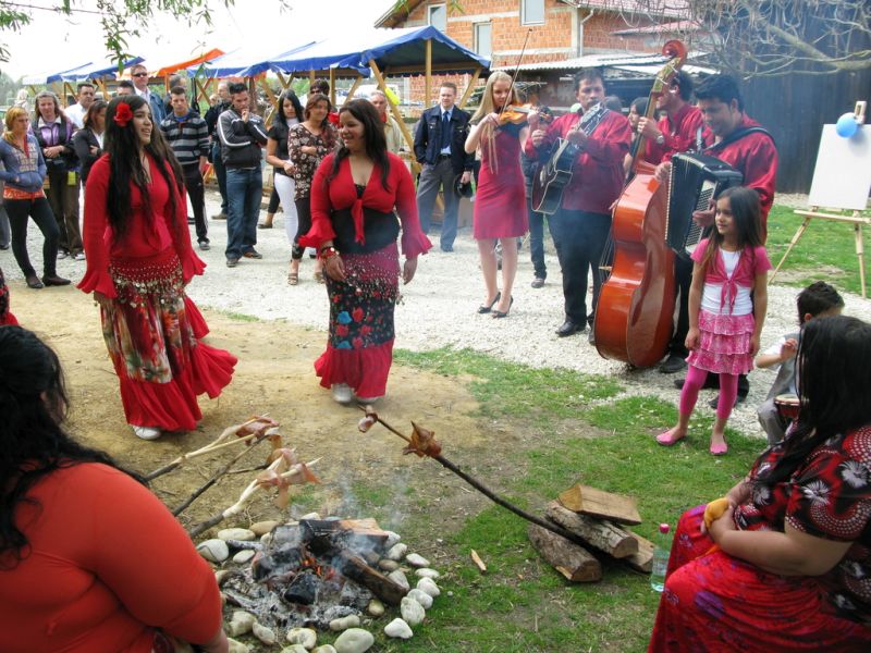Romii-cine sunt, de unde vin şi care este locul şi rolul lor în habitatul comun, cu alte populaţii şi entităţi statale