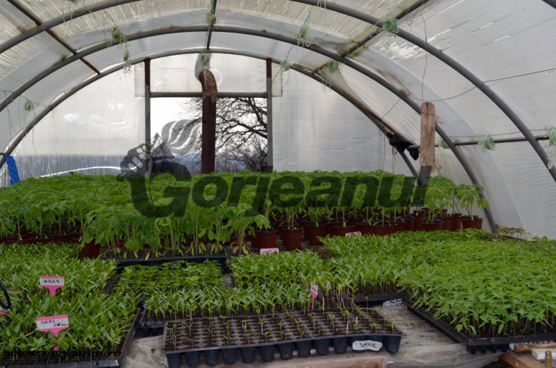 4.200 de avize consultative, eliberate de Camera Agricolă Gorj