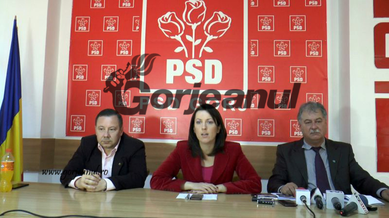 Cercetarea, educaţia şi sportul, prioritare pentru consilierii judeţeni PSD