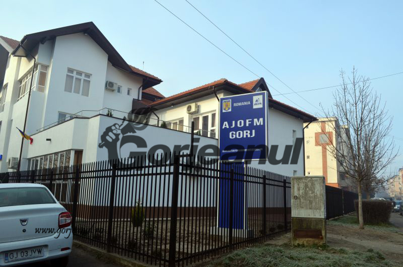 Noi cursuri derulate de AJOFM