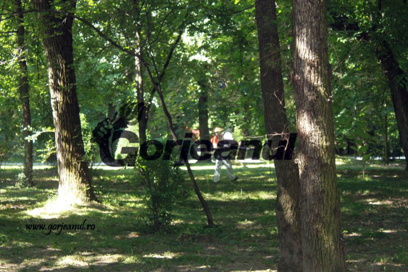 Începe dezinsecţia manuală şi aeriană la Târgu-Jiu