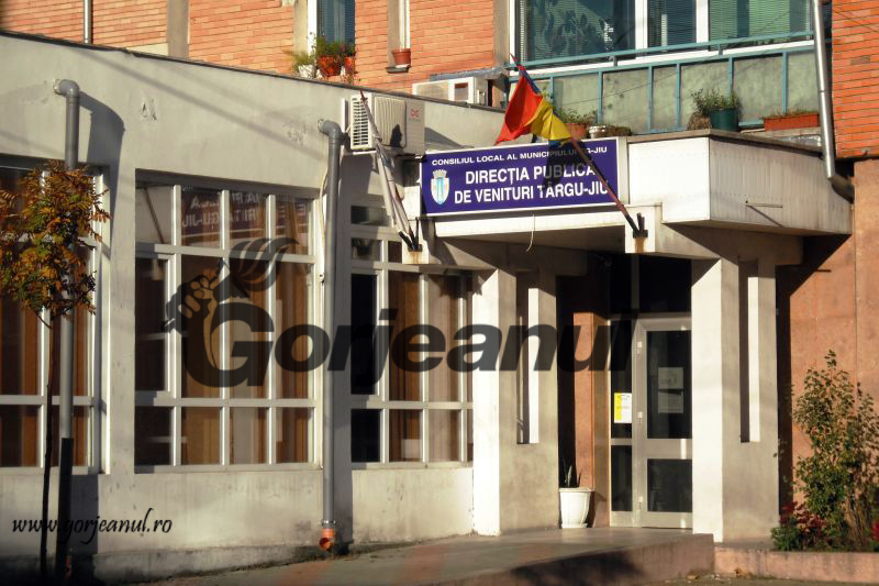 Concurs la Direcţia Publică de Venituri Târgu-Jiu