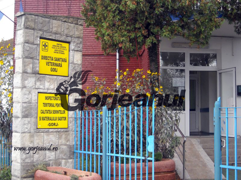 Post vacant la Direcţia Sanitar-Veterinară