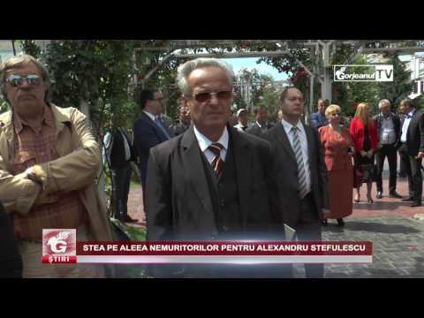 STEA PE ALEEA NEMURITORILOR PENTRU ALEXANDRU ȘTEFULESCU