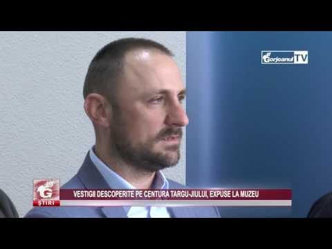 VESTIGII DESCOPERITE PE CENTURA TÂRGU-JIULUI, EXPUSE LA MUZEU