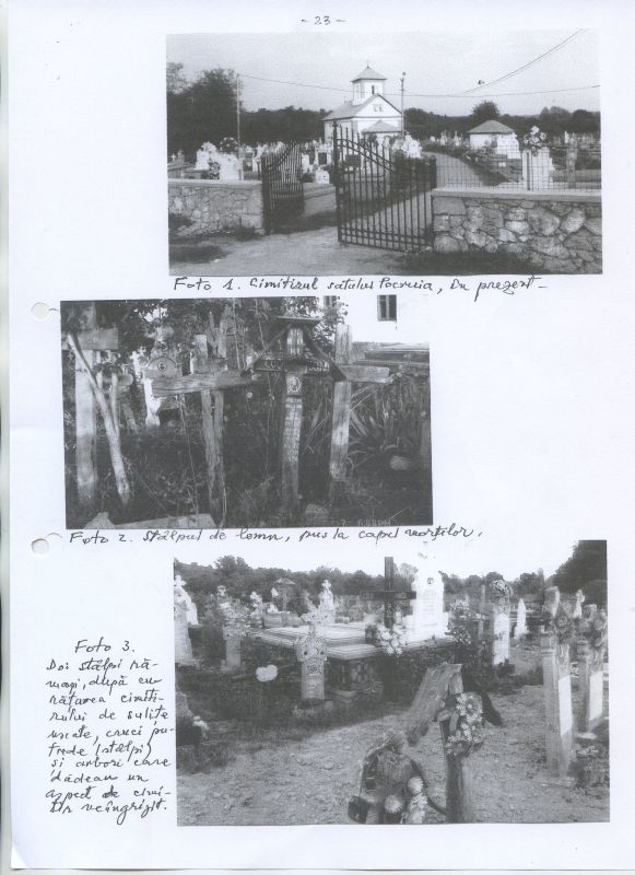 Cimitirul satului Pocruia