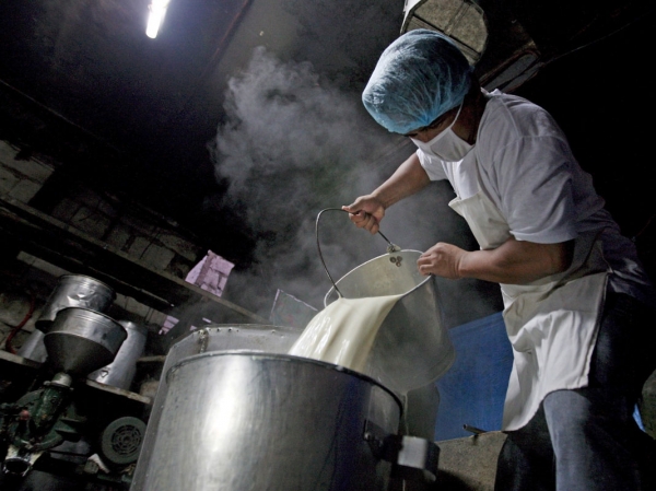 Au început noi controale în sectorul laptelui