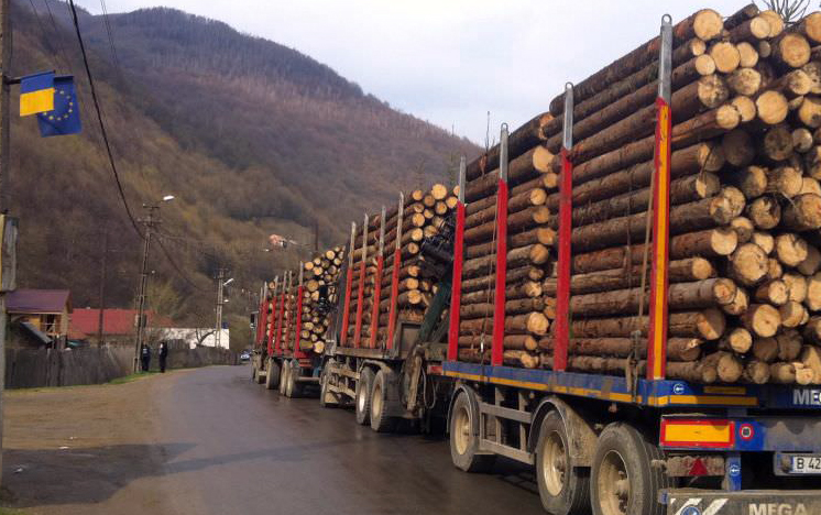 Hoți de lemne din județul Gorj, reținuți la Sibiu