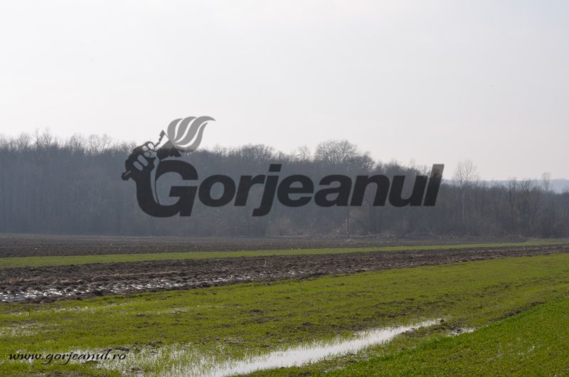 Peste 11.300 de fermieri gorjeni, cu cererile unice la APIA