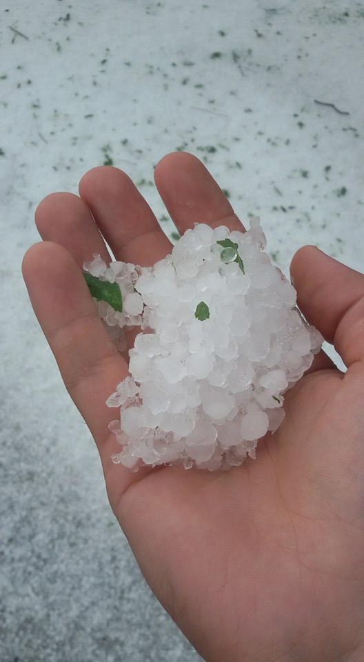 13442316_824289607706710_686981481778303852_n