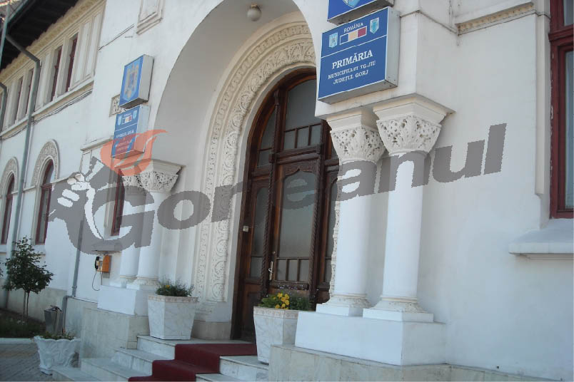 Se caută director executiv la Primăria Târgu-Jiu