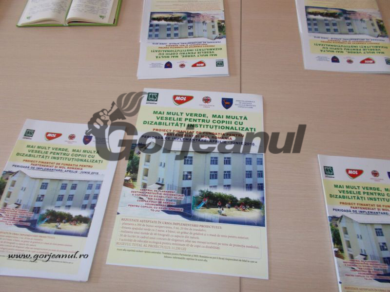 Proiect finalizat cu succes, la DGASPC Gorj