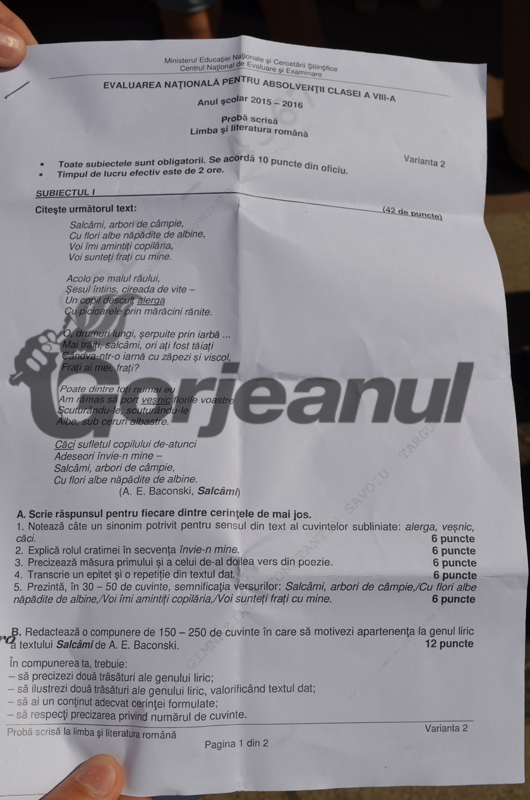 Genul liric și compunere despre o întâmplare petrecută într-o zonă turistică, la prima probă a Evaluării Naționale