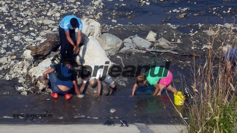 Jale printre pescari! Barajele de pe Jiu, golite de pește într-o clipă!