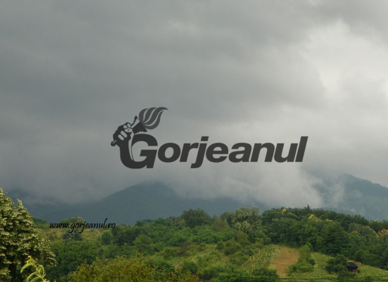 Prin grija autorităţilor locale/Perimetre ecologizate