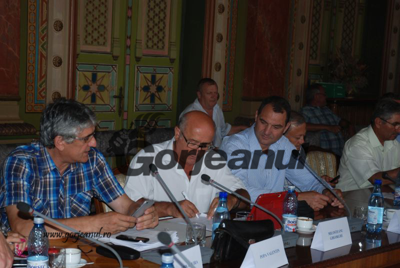 Componența ATOP, validată de consilierii județeni