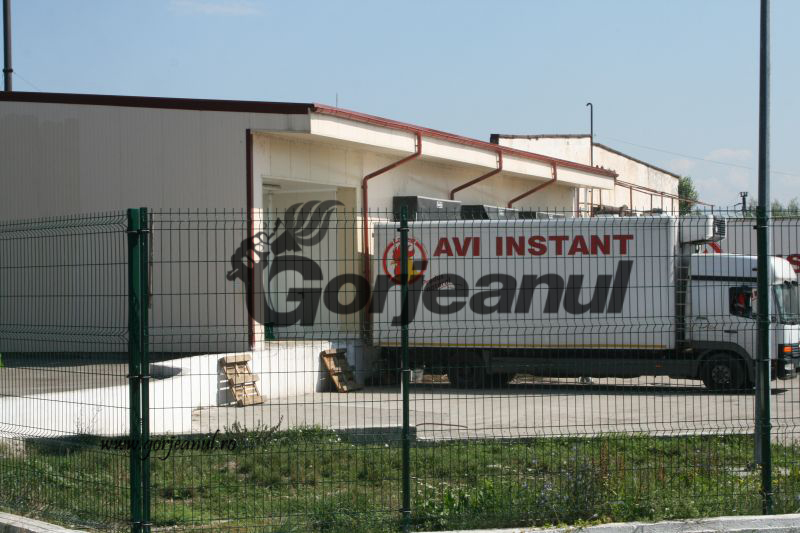 Începe procesul de evaziune de la Avi Instant