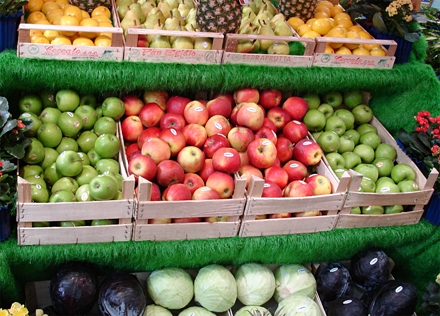 Olanda, ofertă atractivă de joburi pentru gorjeni