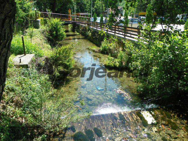 Repere estivale – Spre Domogled în cumpăna verii